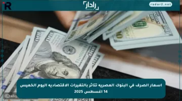 أسعار الصرف في البنوك المصرية تتأثر بالتغيرات الاقتصادية اليوم الخميس 14 أغسطس 2025